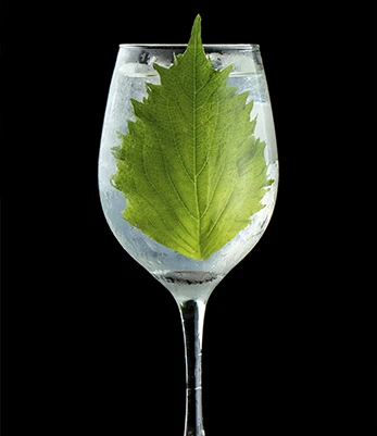 Site-tata-slide-drink-03.webp
